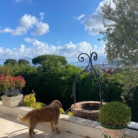 La Pastourelle Villa Le Cannet